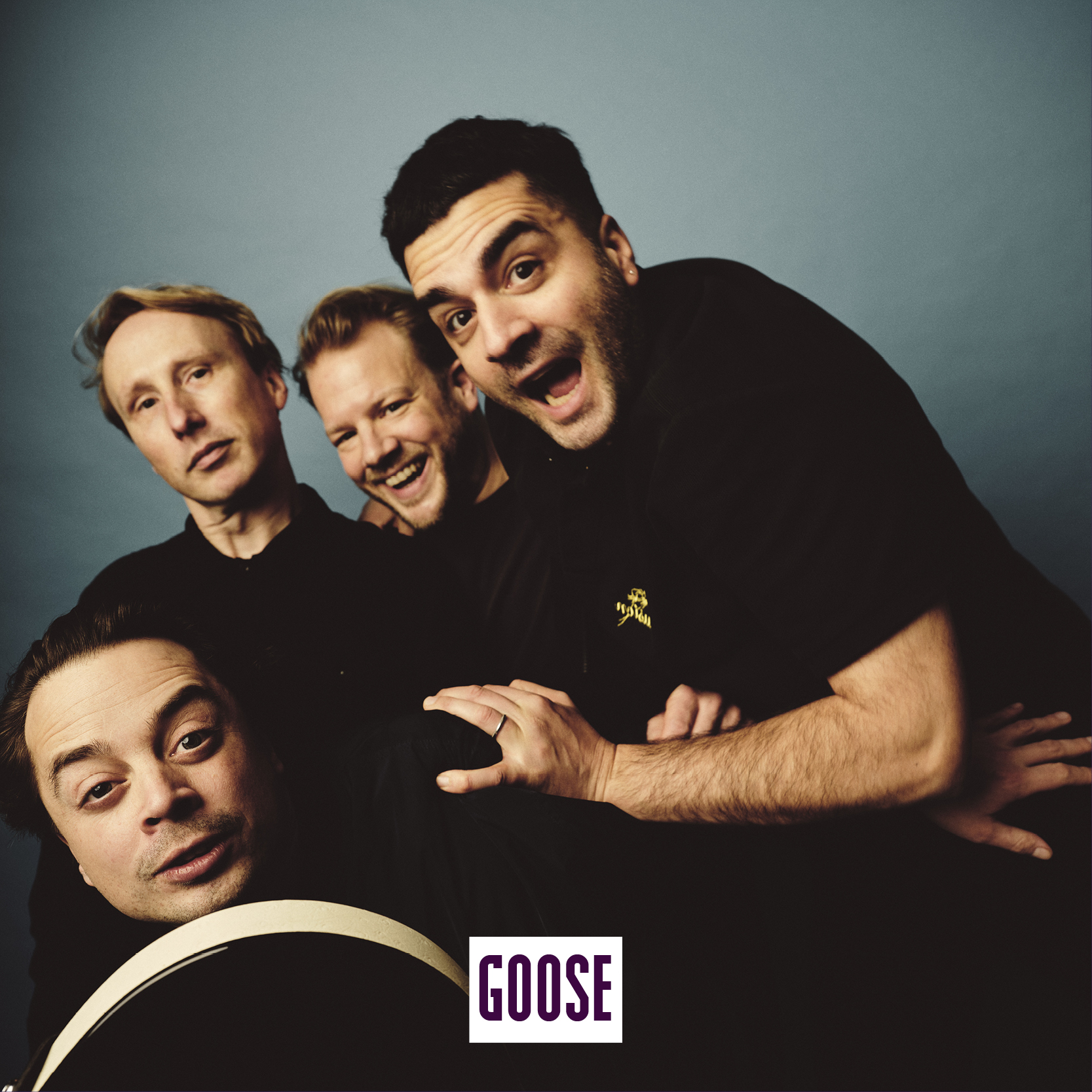 Web_goose