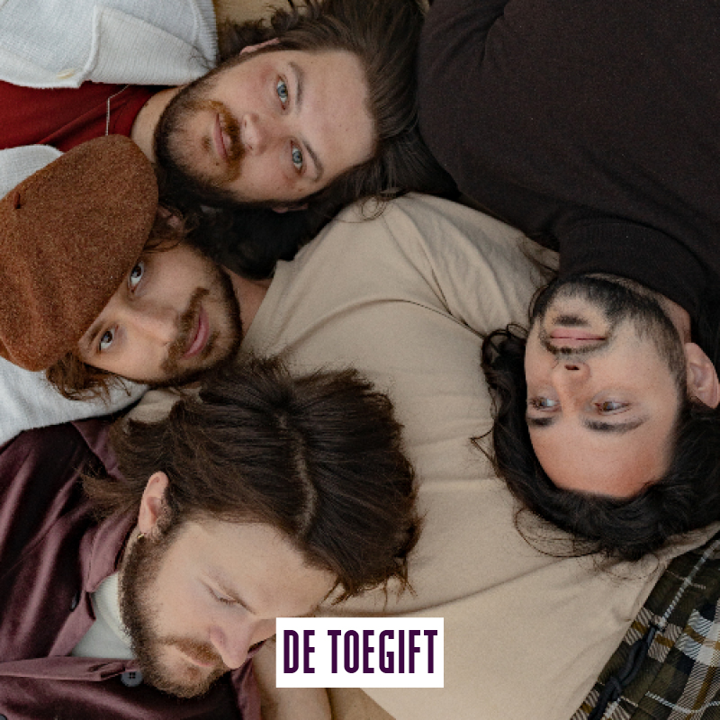 Web_De Toegift