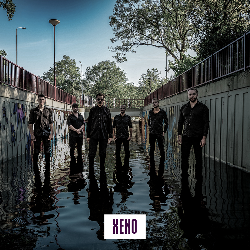 Web_Xeno