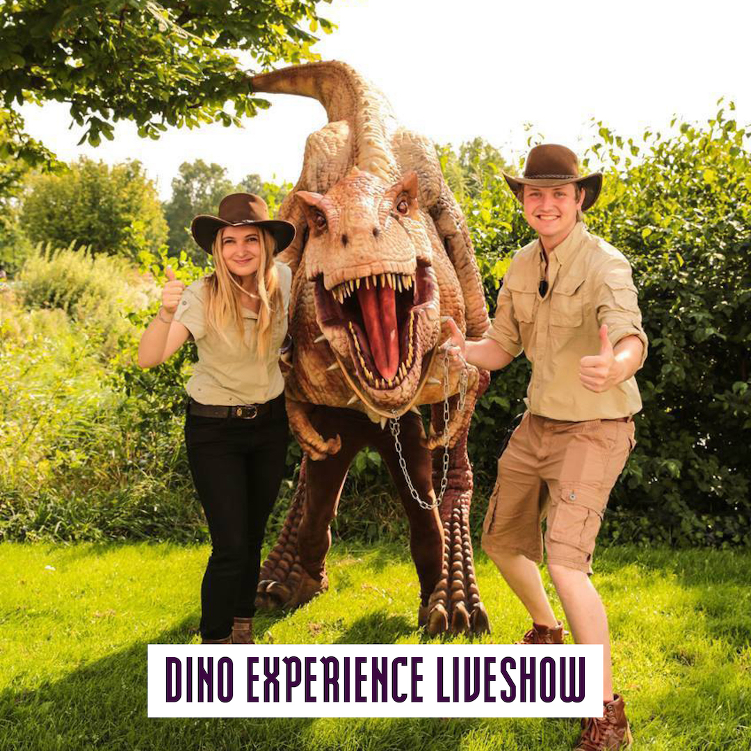 Web_Dino Experience Liveshow
