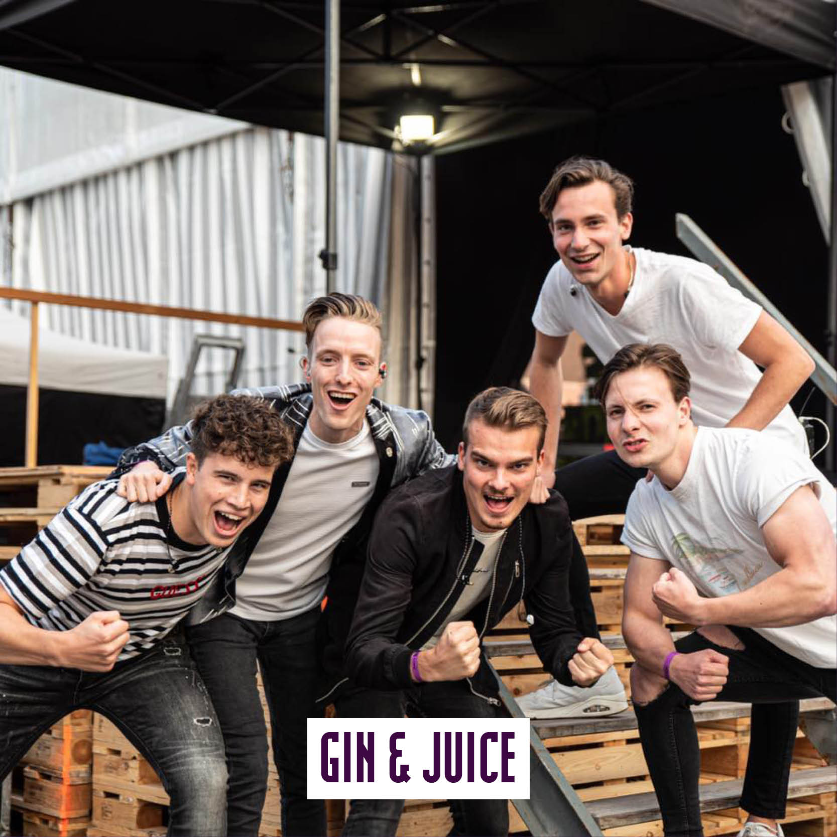 Web_Gin en Juice