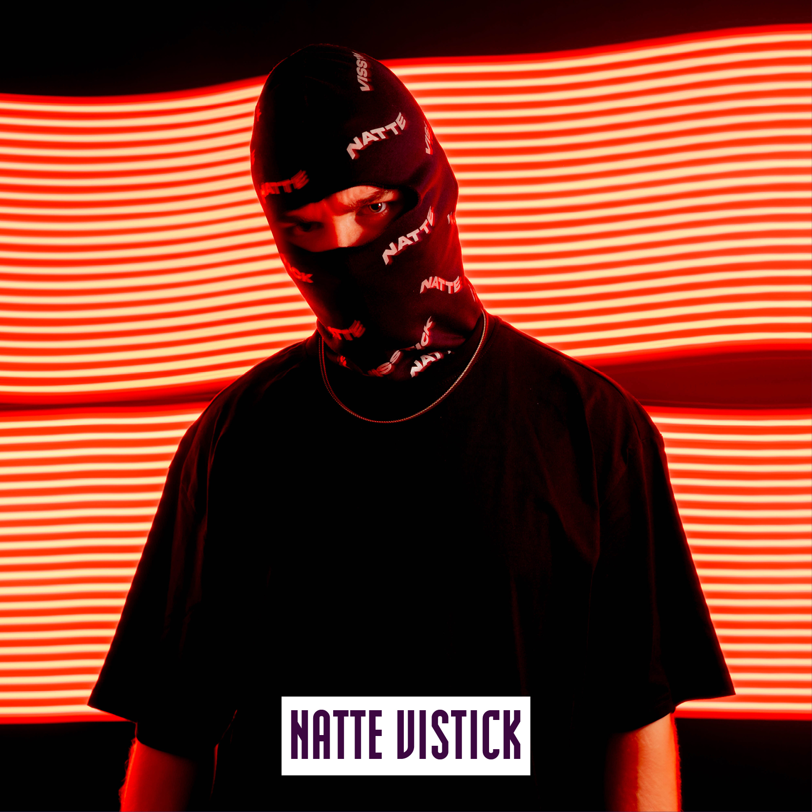 Web_natte visstick