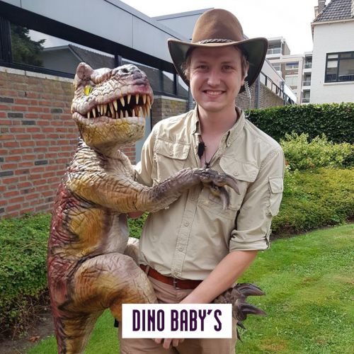Dino Baby`s